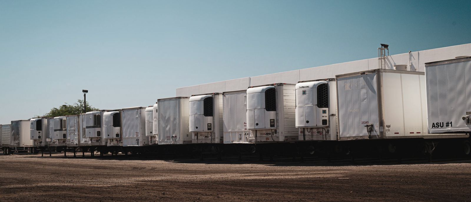Row of refrigerated trailers parked in an industrial yard